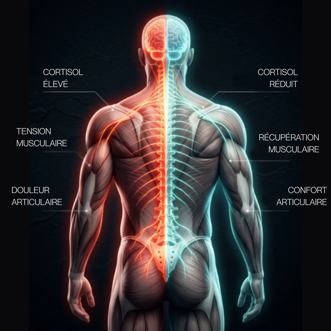 EARTHON